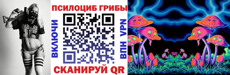 продажа наркотиков  Чита  Галлюциногенные грибы Cubensis 
