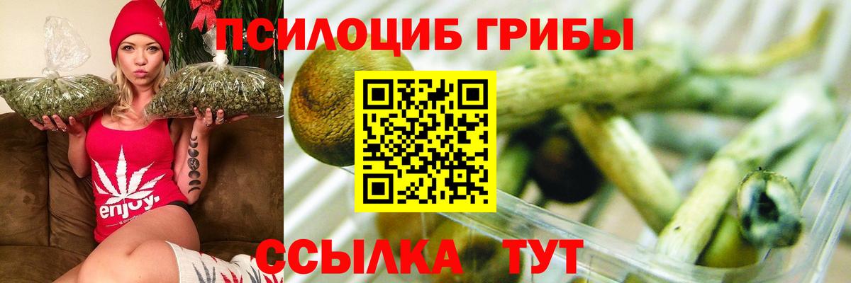 Псилоцибиновые грибы Psilocybine cubensis  Вход с VPN  Чита  Галлюциногенные грибы MAGIC MUSHROOMS 
